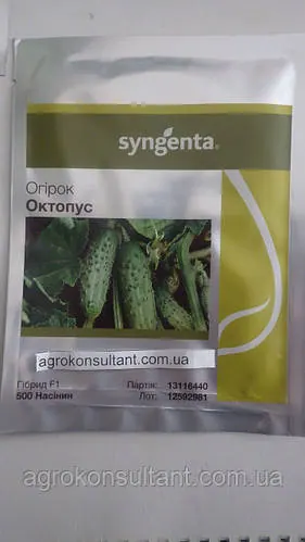Насіння огірка Октопус F1 (Syngenta), 500 насінин — бджолозапильний, ранній гібрид (45-48 днів) корнішон