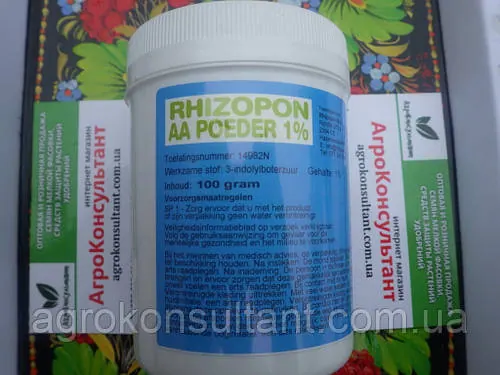 Препарат Різопон / Rhizopon Powder АА 1%, 100 г — найкращий укорінювач для рослин, Rhizopon BV