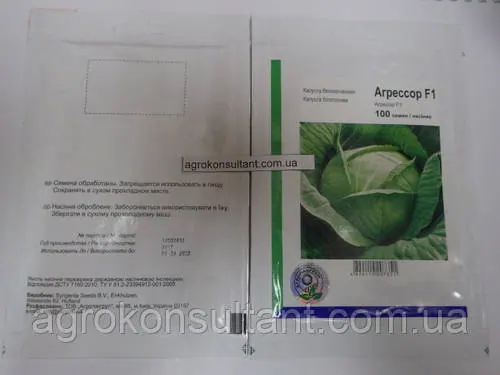 Насіння капусти Агресор F1 (Syngenta), 100 насінин - середньопізня (110-125 днів), білокачанна