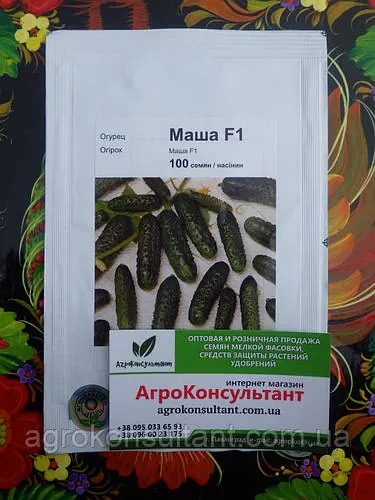 Насіння огірка Маша F1 (Seminis, АГРОПАК+), 100 насінин - ультраранній гібрид (40-45 днів), партенокарпік