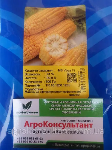 Насіння кукурудзи Вега F1 (May Seed), 500 грам — ультраранній (70-75 днів), суперсолодка, цукрова
