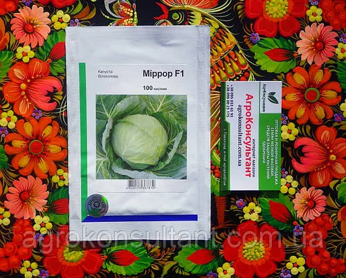 Насіння капусти Міррор \ Мірор F1 (Syngenta), 100 насінин - ультраранній гібрид (45-50 днів), білокачанна