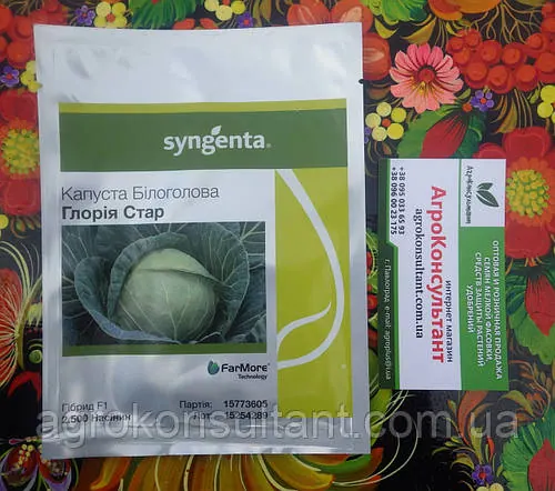 Насіння капусти Глорія Стар F1 (Syngenta), 2 500 насінин — середньостигла (75-80 днів), білокачанна