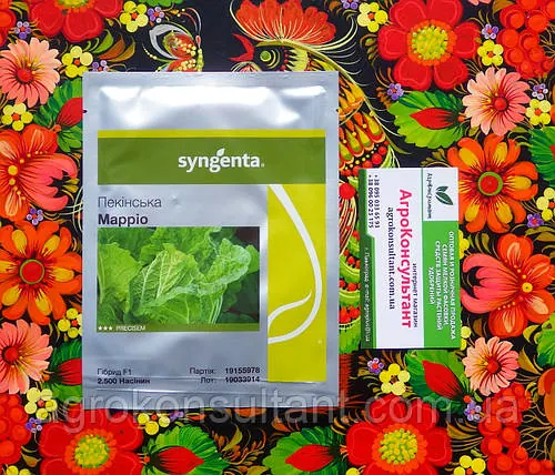 Насіння капусти Маріо F1 (Syngenta), 2 500 насінин — середньостигла (60-65 днів), пекінська