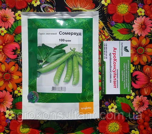 Насіння гороху Сомервуд / Somerwood (Syngenta), 100 грам — середньостиглий (65 днів), овочевий, цукровий