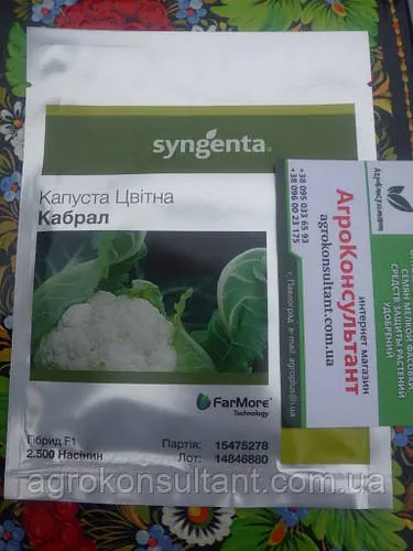 Насіння цвітної капусти Кабрал F1 (Syngenta), 2 500 насінин — середньостигла (75-80 днів), округла форма