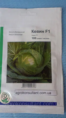 Насіння капусти Кевін F1 (Syngenta), 100 насінин — ультрарання (48-52 дні), білоголова, стійка до холодів