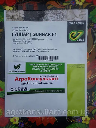 Насіння огірка Гуннар F1 (Enza Zaden), 500 насінин - партенокарпік, дуже ранній (38-40 днів), стійкий до хвороб