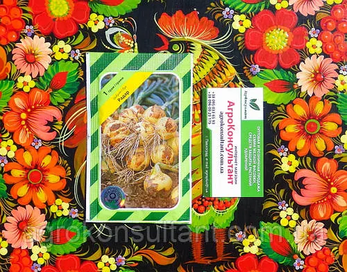 Насіння ріпчастої цибулі Радар (Bejo Zaden), 1 г — пізня (25-260 днів), озима
