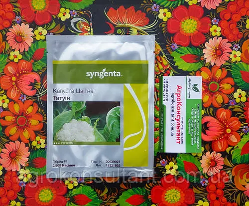 Насіння цвітної капусти Татуїн F1 (Syngenta), 2 500 насінин — ранній гібрид (57-62 днів)