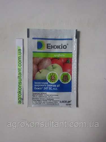 Енжіо (Syngenta), 3, 6 мл — інсектицид широкого спектра дії для захисту яблуні, томатів, цибулі