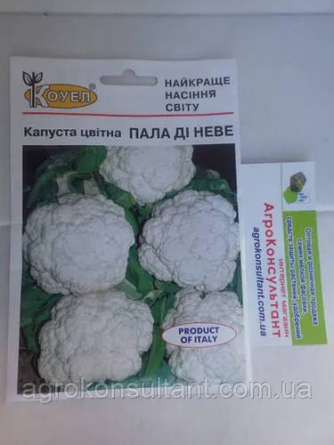 Насіння кольорової капусти Пала Ді Неве (Коуел) 10 г — рання (75-80 днів)