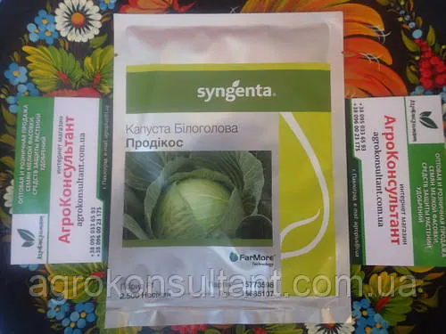 Насіння капусти Продікус / Продікос F1 (Syngenta), 2 500 насінин — пізня (130-135 д), білокачанна, на зберігання