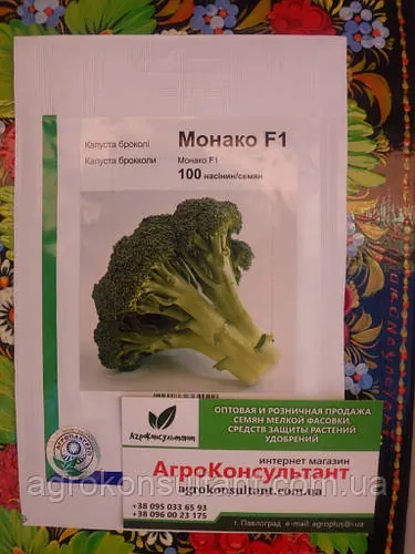 Насіння капусти броколі Монако F1 (Syngenta), 100 насінин - середньостигла (70-80 днів), стійка до хвороб