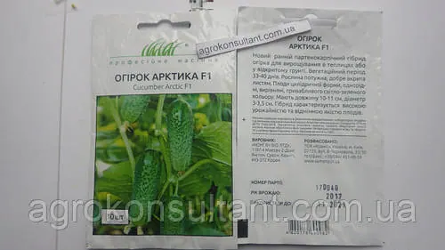 Насіння огірка Арктика F1 (NongWoo Bio), 10 насінин - надранній (35-40 днів), партенокарпік, високоврожайний