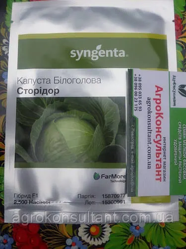 Насіння капусти Сторідор F1 (Syngenta), 2 500 насінин — пізня (130-135 днів), білокачанна, округла