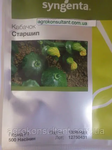 Насіння патисону Старшип (Syngenta), 500 насінин — ранній (45-50 днів) гібрид кабачка, високоврожайний