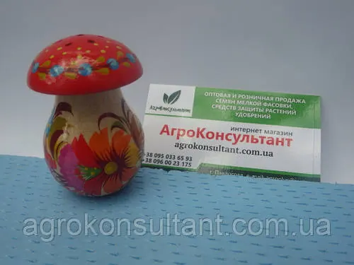 Солонка гриб (маленька) - Петриковський розпис\ Solyanka mushroom (small) - Petrikov painting