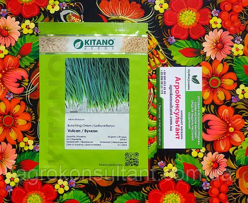 Насіння цибулі на перо Вулкан (Kitano Seeds), 20 грам — середньораннє (65-70 днів), високоврожайне