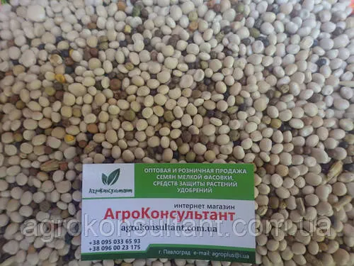 Насіння Люпину на сидерат, 1 кг - добре накопичує азот у ґрунті