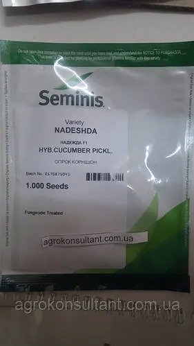 Насіння огірка Надія / Надежда F1 (Seminis), 1 000 насінин — ультраранній (38-40 днів), бджолозапильний, високоврожайний