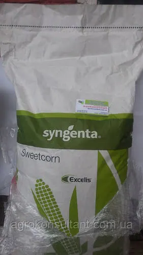 Кукурудза цукрова солодка ГСС 3071 (GSS 3071) F1, 100.000 сем, Syngenta
