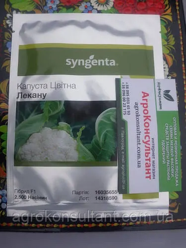 Насіння кольорової капусти Лекану F1 (Syngenta), 2 500 насінин — середньорання (70-75 днів), посухостійка