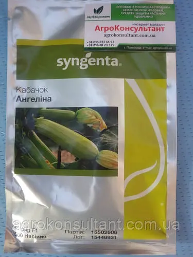 Насіння кабачка Ангеліна F1 (Syngenta), 500 нас — високоурожайний гібрид білоплідного кабачка