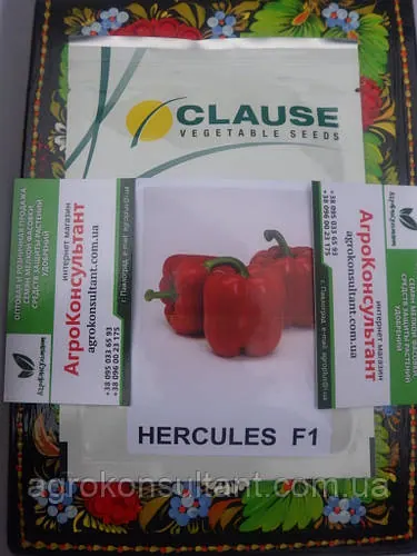 Насіння перцю Геркулес F1 (Clause), 5 грам — середньоранній (70-75 днів), кубоподібний, червоний