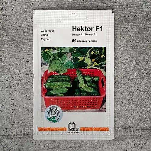 Насіння огірка Гектор F1 (Nunhems/Агропак+), 50 насіння — бджолинозапальний, ультрародний гібрид (40-44 дні)