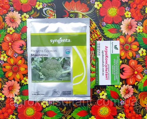 Насіння капусти броколі Макларен F1 (Syngenta), 2 500 насінин — середньостигла (75-80 днів), стійка до килу