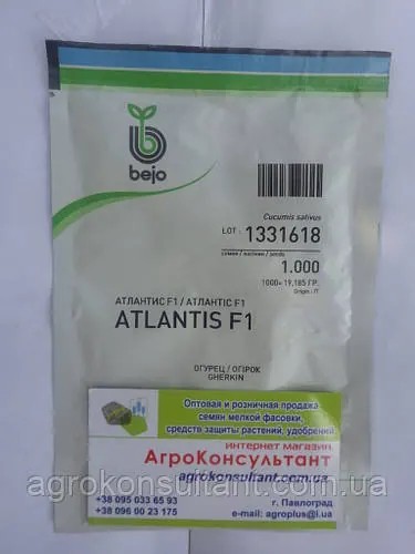 Насіння огірка Атлантіс F1 / Atlantis F1 (Bejo), 1000 нас — бджолозапильний, ранній гібрид (42-45 днів)