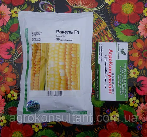 Насіння кукурудзи РАКЕЛЬ F1 / RAKEL F1 (Clause), 50 грам - ранньостигла (72–75 днів) цукрова кукурудза