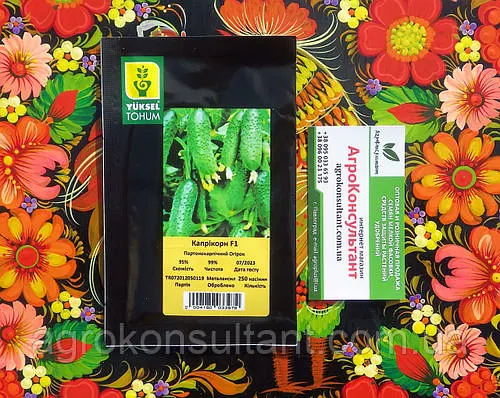Насіння огірка Капрікорн F1 (Yuksel Seeds), 250 насінин — партенокарпик, ранній (32-35 днів), корнішон