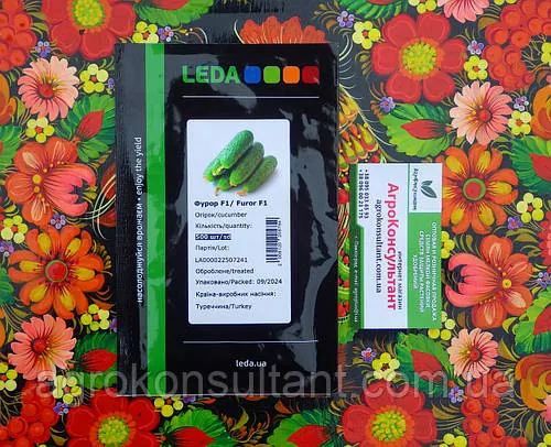 Насіння огірка Фурор F1 ( Leda Agro), 500 насінин — ультраранній (38 днів), партенокарпічний, корнішон