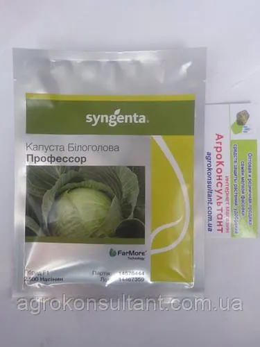 Насіння капусти Професор F1 (Syngenta), 2 500 насінин ― середньопізня (115-120 днів), білокачанна, кругла