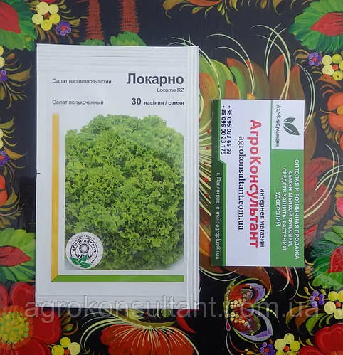 Насіння салату Локарно RZ ( Rijk Zwaan), 30 насінин - ранній (40-50 днів), напівкачанний сорт типу Лолло Біонда