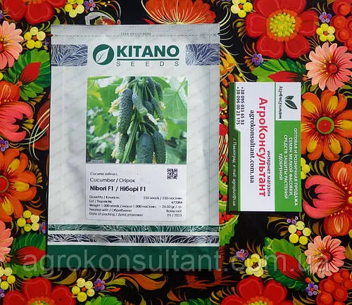 Насіння огірка Ніборі F1 (KS 90) / Nibori F1 (KitanoSeeds), 250 насінин - ранньостиглий (40-45 днів), партенокарпік