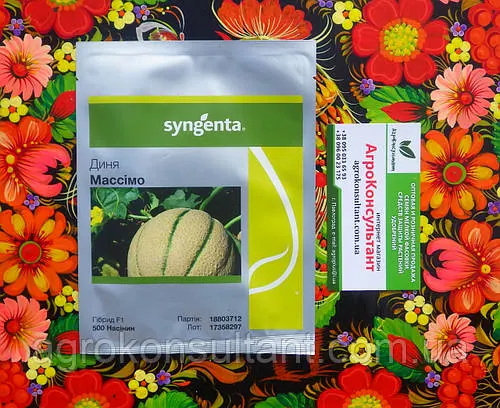 Насіння дині Массімо F1 (Syngenta), 500 насінин — середньостигла (75-85 днів), овальна, тип Канталупе