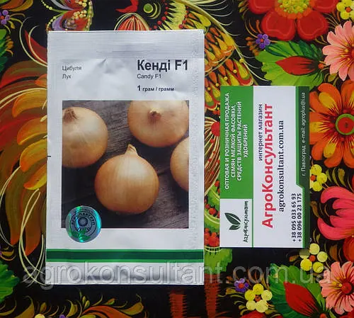 Насіння цибулі Кенді (Кенді) F1 (Bejo Zaden), 1 грам — надранній (80-90 днів), салатний