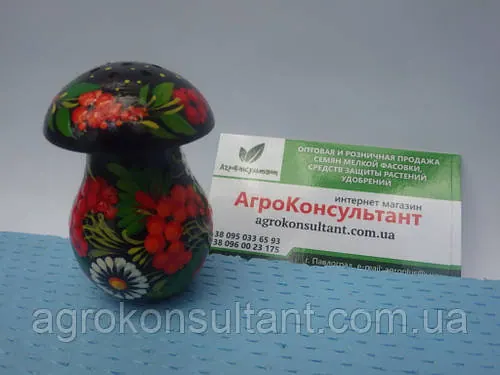 Сільничка гриб (маленька) чорна — Петровий розпис/Solyanka mushroom (small) — Petrikov painting