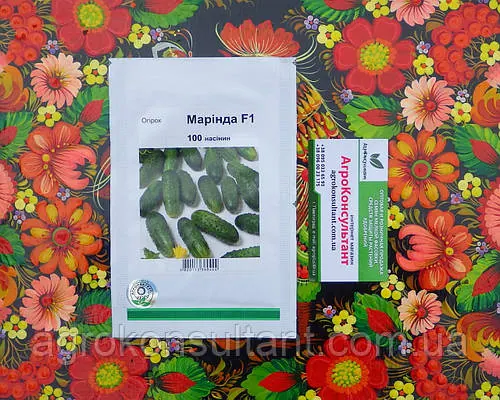 Насіння огірка Марінда F1 (Seminis / Агропак), 100 насінин — ультраранній гібрид (40-45 днів), партенокарпик, корнішон маринда