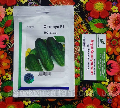 Насіння огірка Октопус F1 (Syngenta), 100 насінин — бджолозапильний, ранній гібрид (45-48 днів) октопус