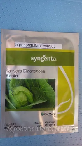 Насіння капусти Кевін F1 (Syngenta), 2500 насінин — УЛЬТРАРАННІЙ гібрид (48-52 дні), білоголова