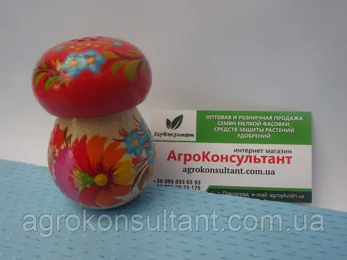 Сільничка гриб (велика) — Петровий розпис/Solyanka mushroom (big) — Petrikov painting