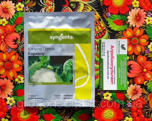 Насіння цвітної капусти Корлану F1 (Syngenta), 2 500 насінин — середньостиглий гібрид (до 75 днів)