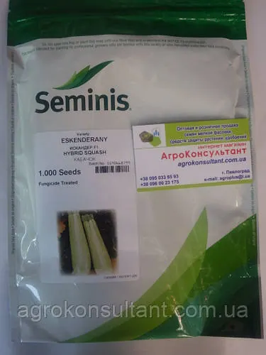 Насіння кабачка Іскандер F1 (Seminis), 1000 насіння — ультраранний гібрид (40-45 днів), світлий