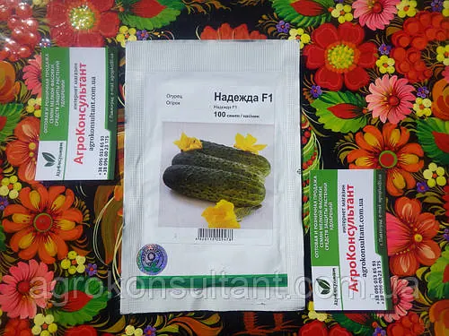 Насіння огірка Надія / Надежда F1 (Seminis), 100 насінин — бджолозапильний, ультраранній (38-40 днів), високоврожайний