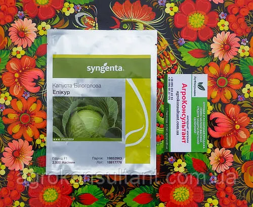 Насіння капусти Епікур F1 (Syngenta), 2 500 насінин — пізня (125-135 днів), білокачанна
