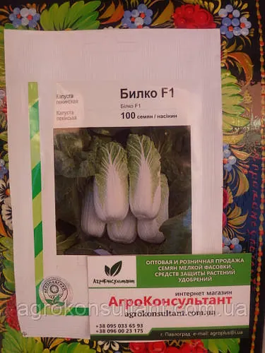 Насіння капусти Білко F1 (Bejo), 100 насінин - середньопізня (67-72 днів), пекінська, високоврожайна